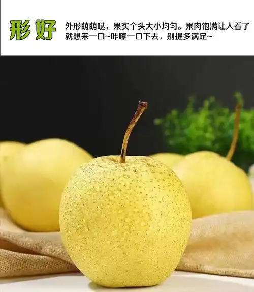 Model Kit Paint Remover - Odpowiedni do Tesla Model 3 Y