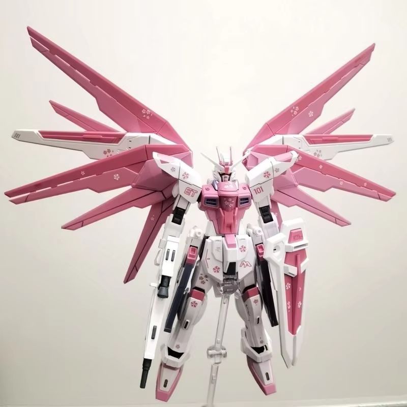 JMS HG 1/144 ZY-06 Freedom Ass – Model Kit Jms recenzja i cena